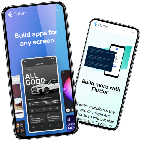 Société de développement Flutter